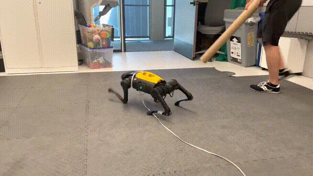 新出生的机器狗,刚生出来的机器狗