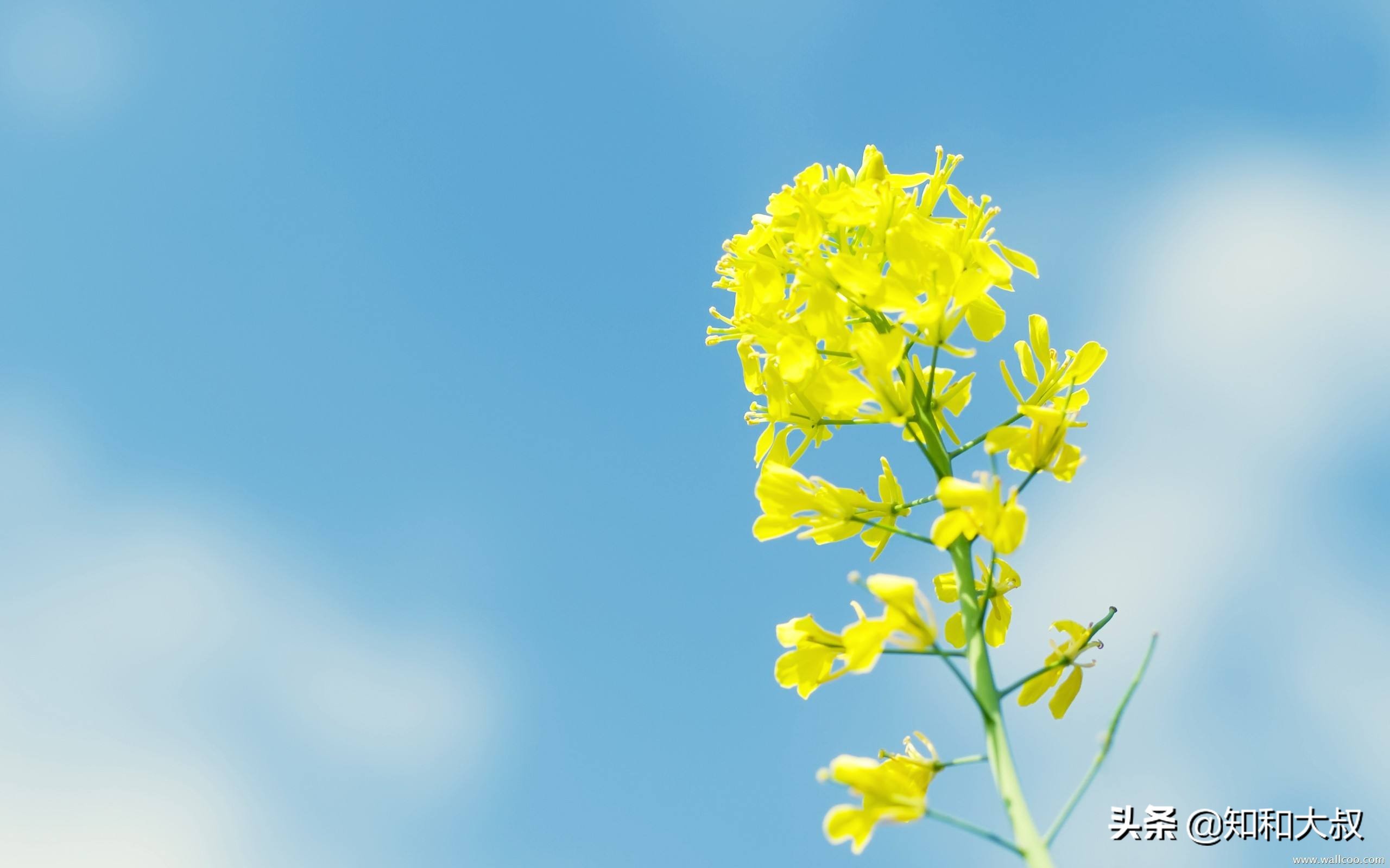 男人对你冷淡了你该怎么做,男人冷落了自己要去讨好他吗