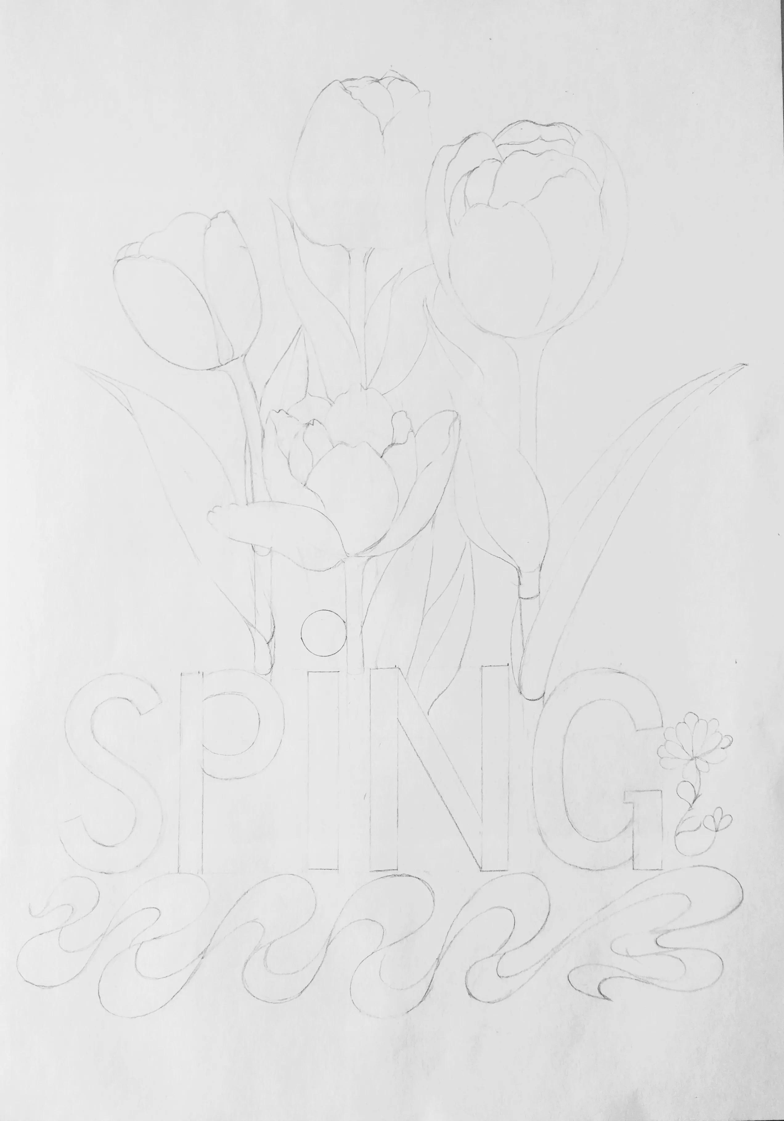 春天的郁金香绘画图片,线描画花朵简单又漂亮郁金香