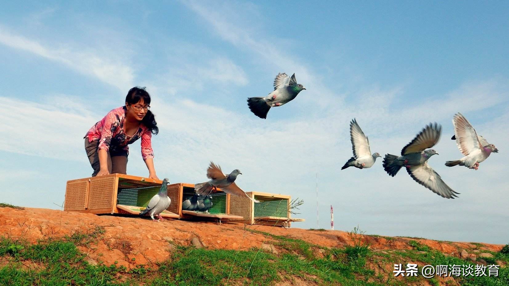 对外经贸大学碾压研究生处理结果,被博导放鸽子