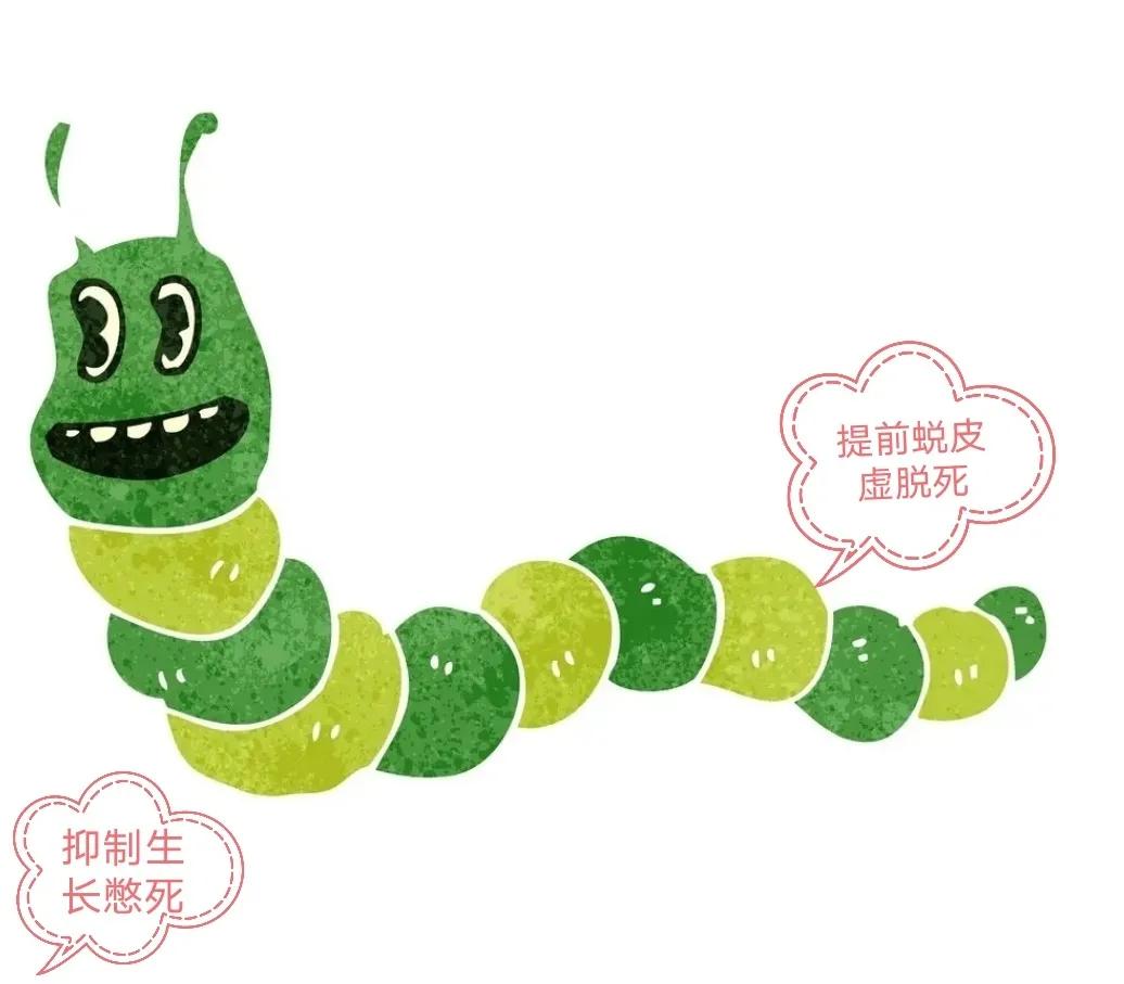 针对害虫使用正确的杀虫剂配方,杀虫剂如何杀虫