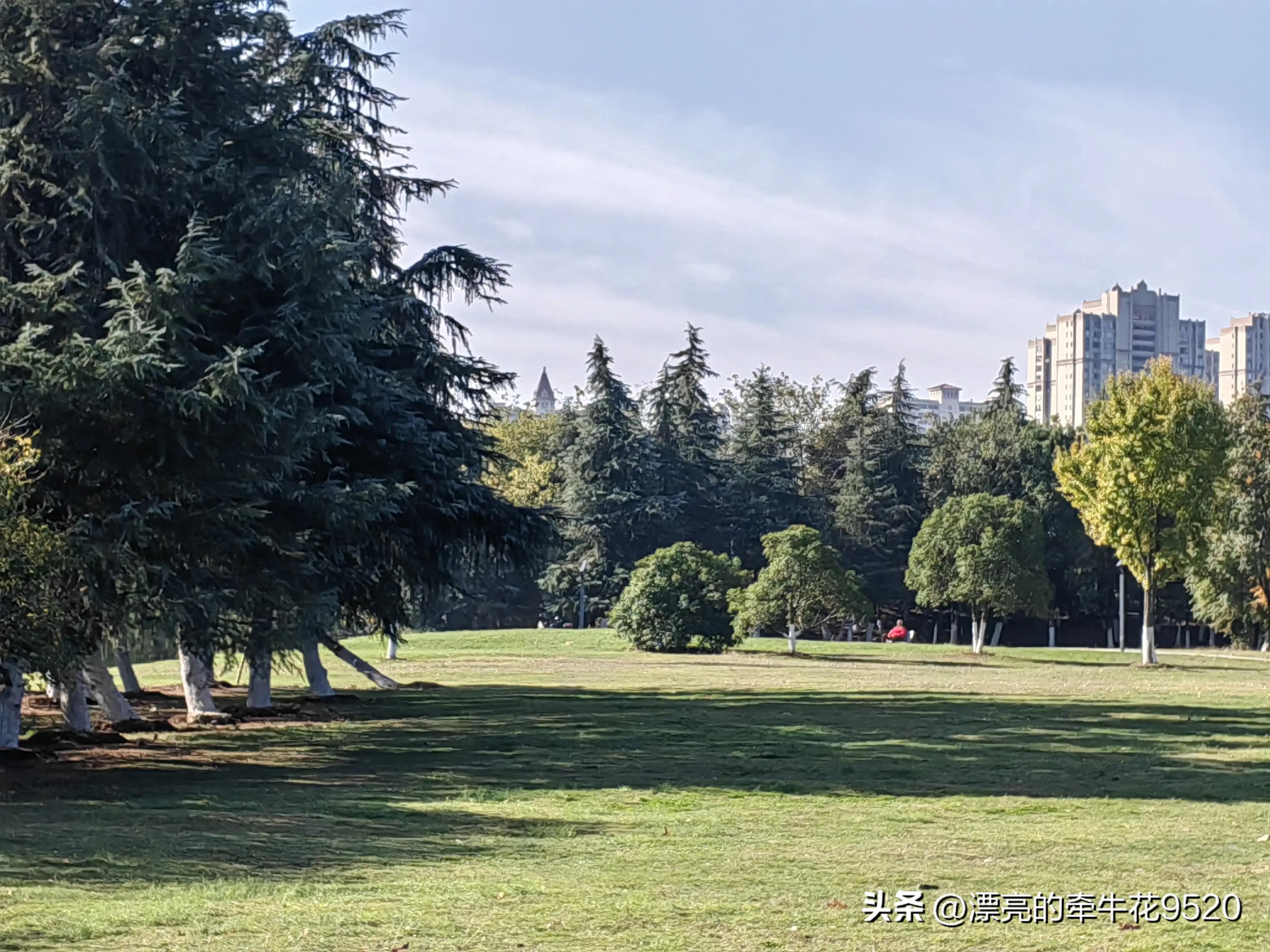 六安月亮岛的风景春夏秋冬,六安月亮岛夕阳美景