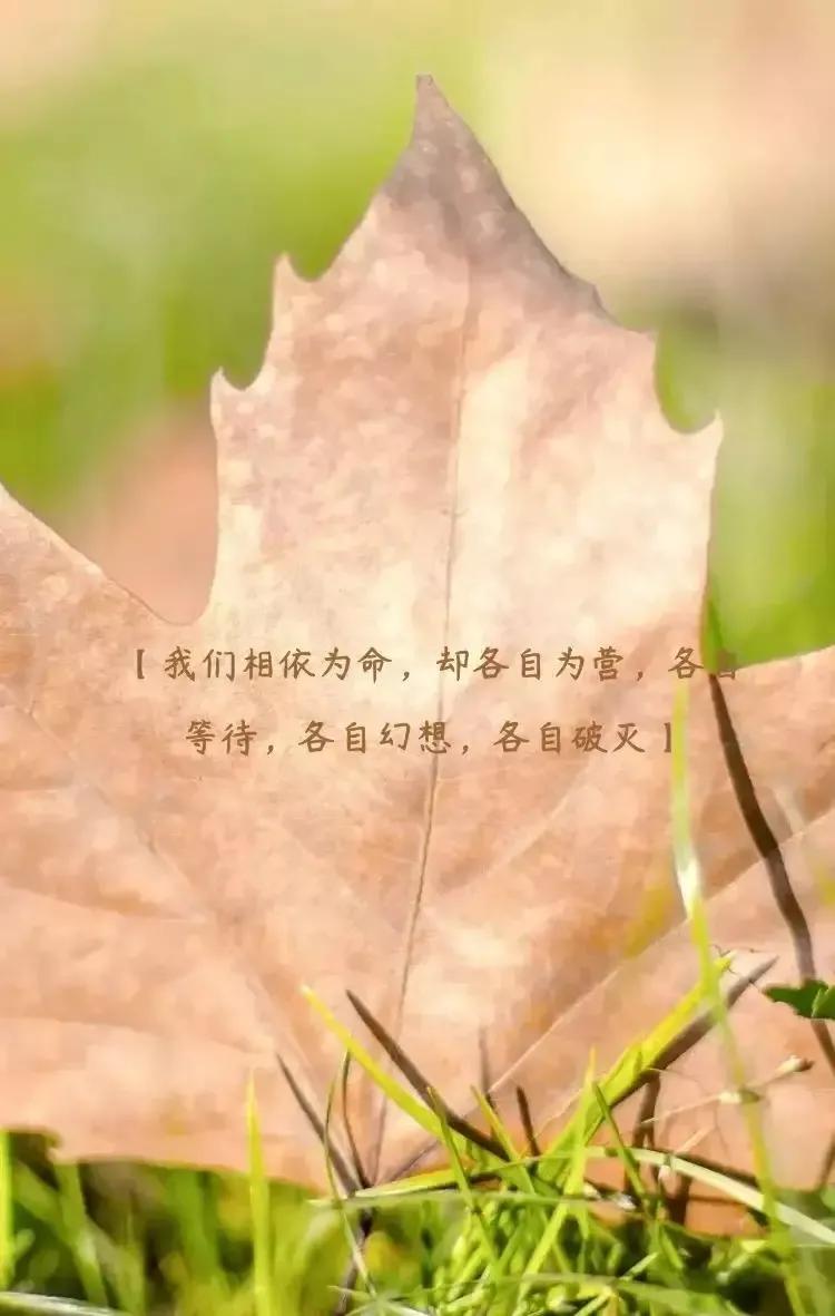 庚子日柱2023年癸卯年运势,癸卯年2023年哪个月出生最好