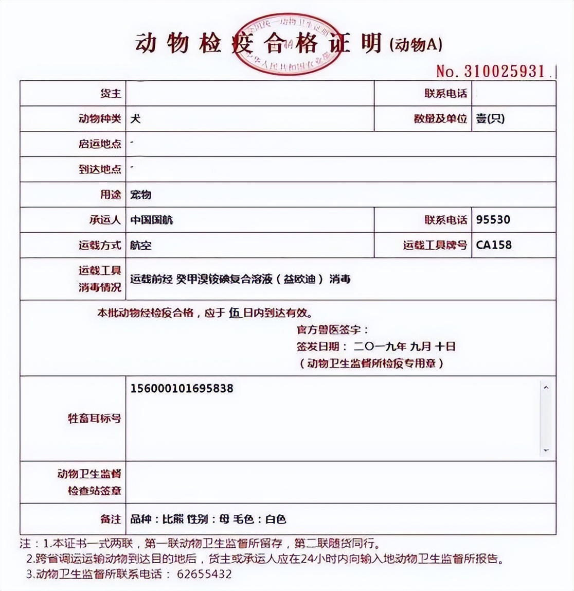 宠物托运怎么打开笼子,宠物托运需要准备什么证件和行李