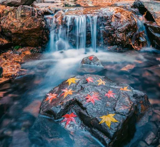 小楼辛丑年辑|熊盛元