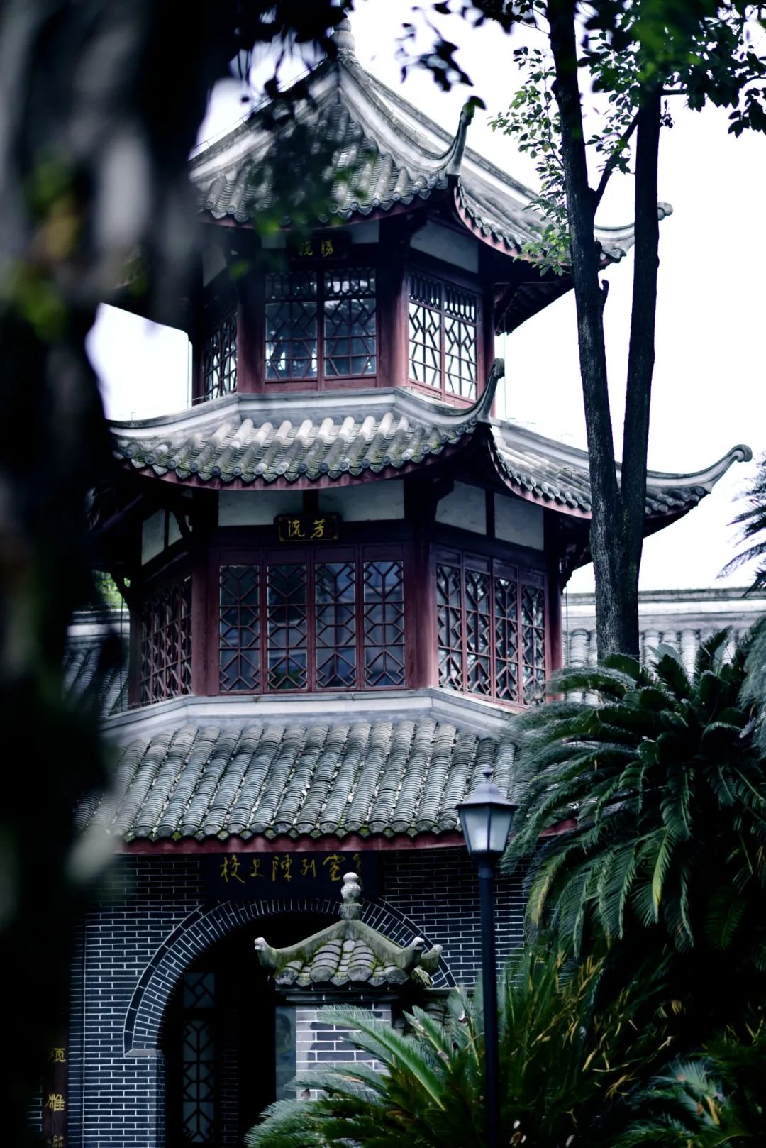 一颗新星落在你我眼眸！双流中学初2023级新生报到纪实