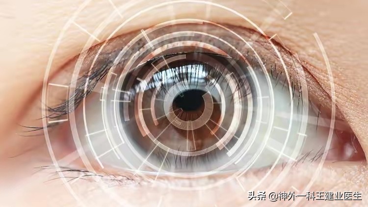 解决老年人视力下降的最好方法,老年视力下降应该补充什么维生素