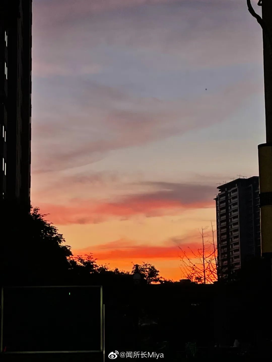 秋天第一双鞋必备款,秋天最时髦好穿的鞋这4双必买