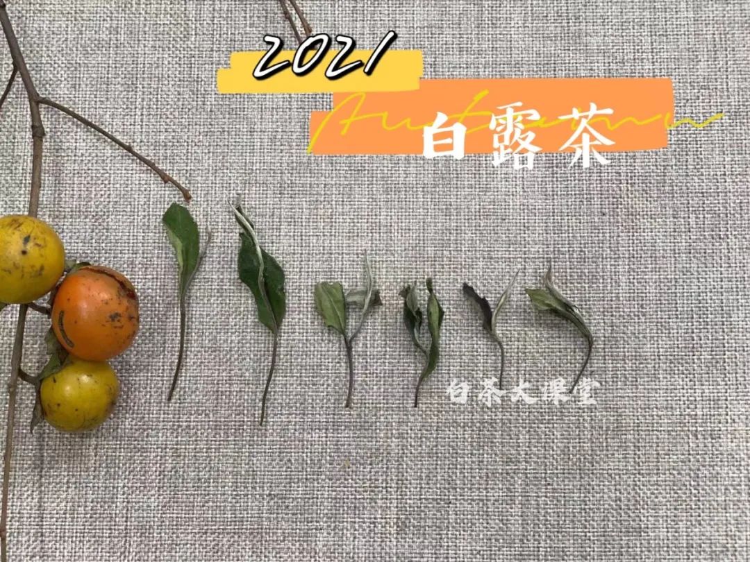 6大茶桌暗语介绍，何为回甘？何为醇厚？何为生津，一次说清