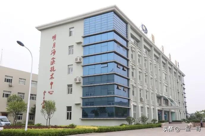 青岛经济产业布局,青岛产业经济分析