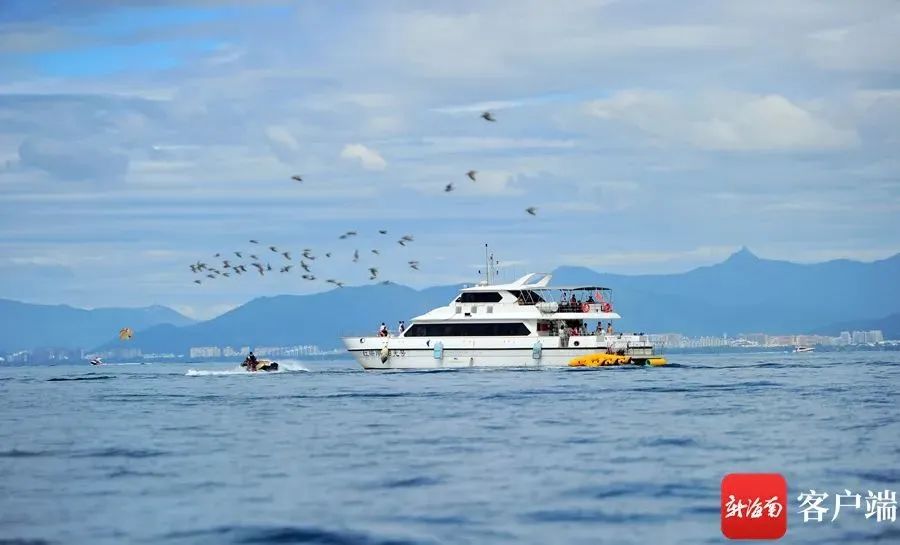 三亚游艇发展情况,三亚游艇保有量同比增长近30%