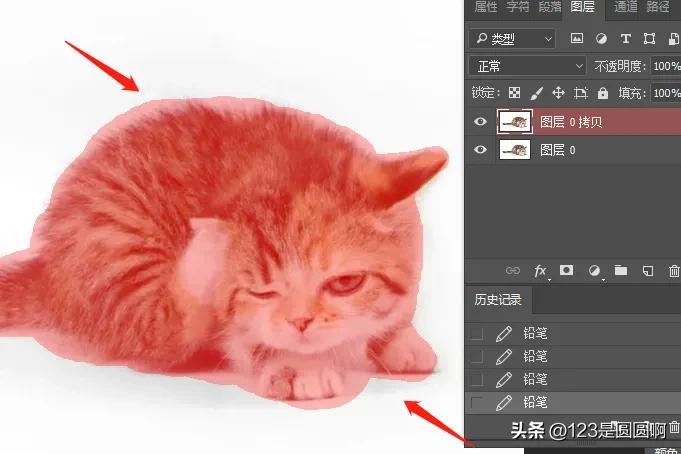 ps制作猫咪眼睛,ps怎么扣猫咪