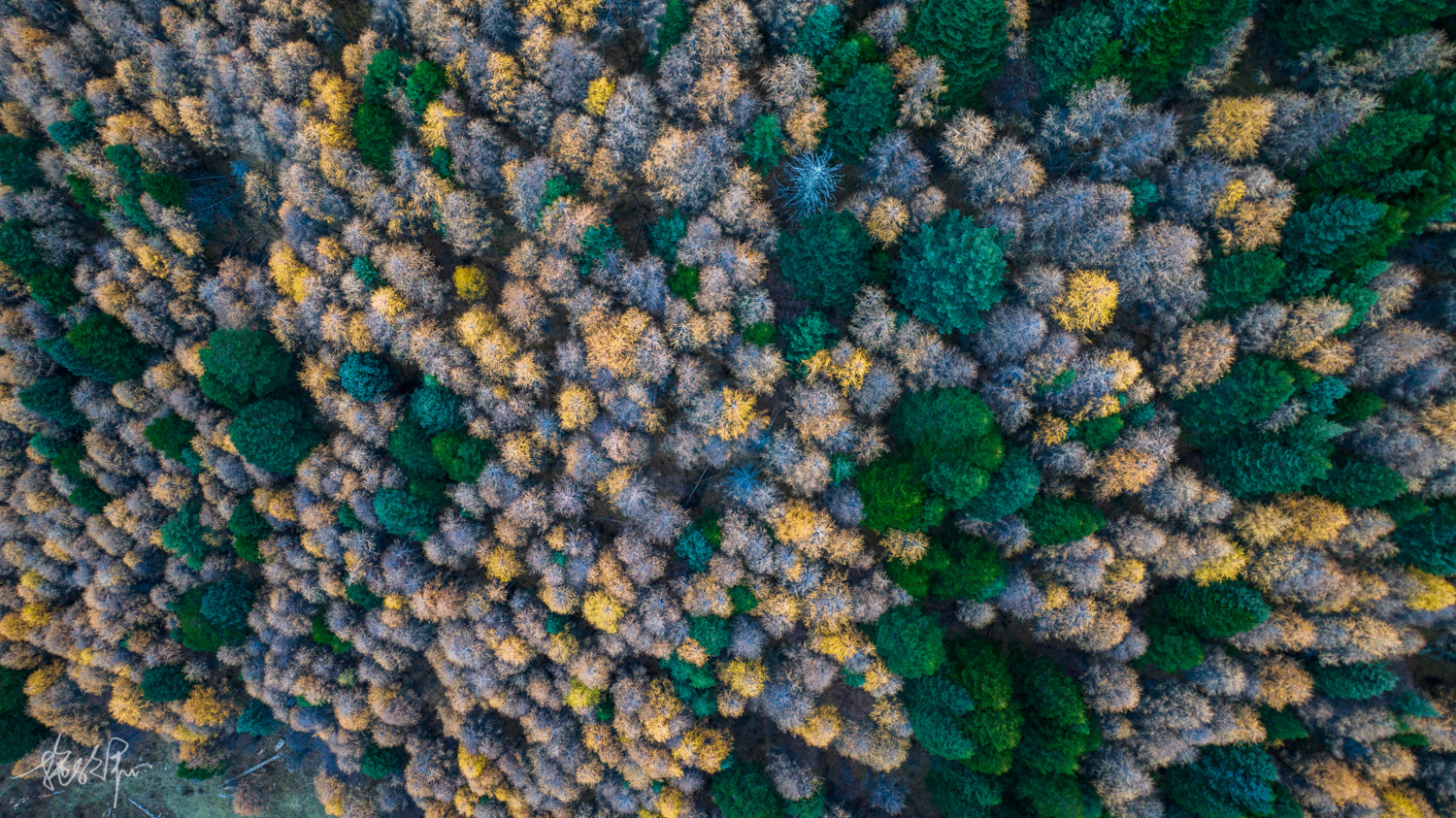 我的2022年度报告,我的2022原版