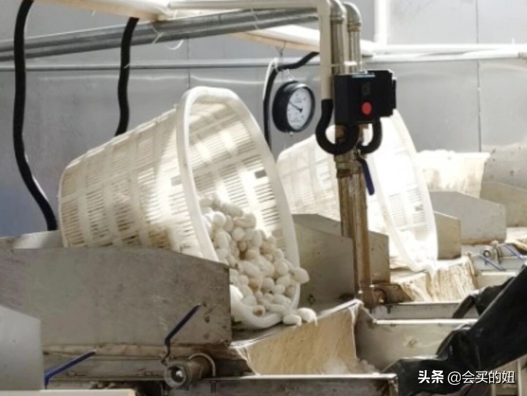 真正的蚕丝被怎么辨别,武汉市在哪里鉴定蚕丝被真假