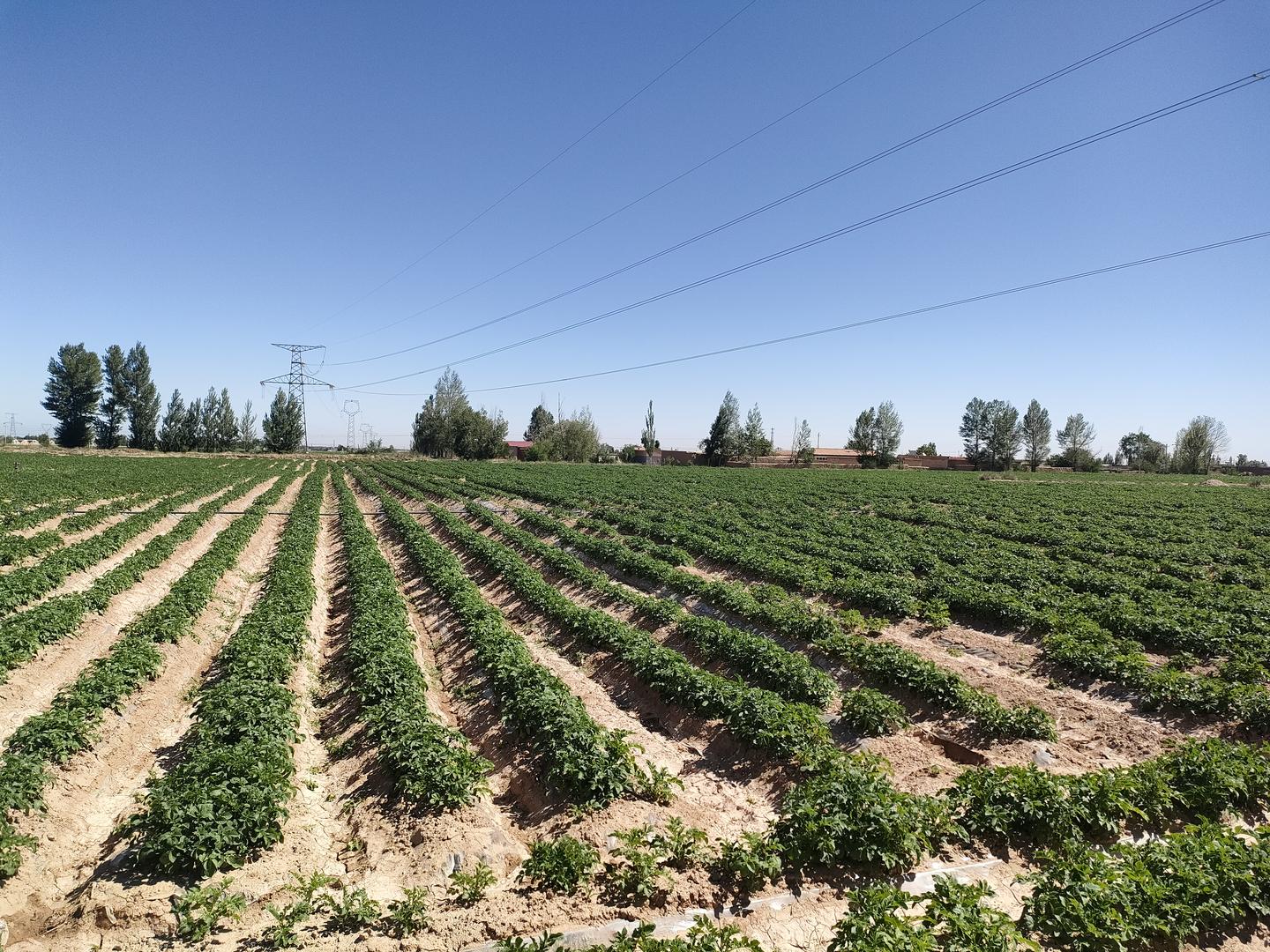 古浪一把手专访,泗洪县一把手访谈