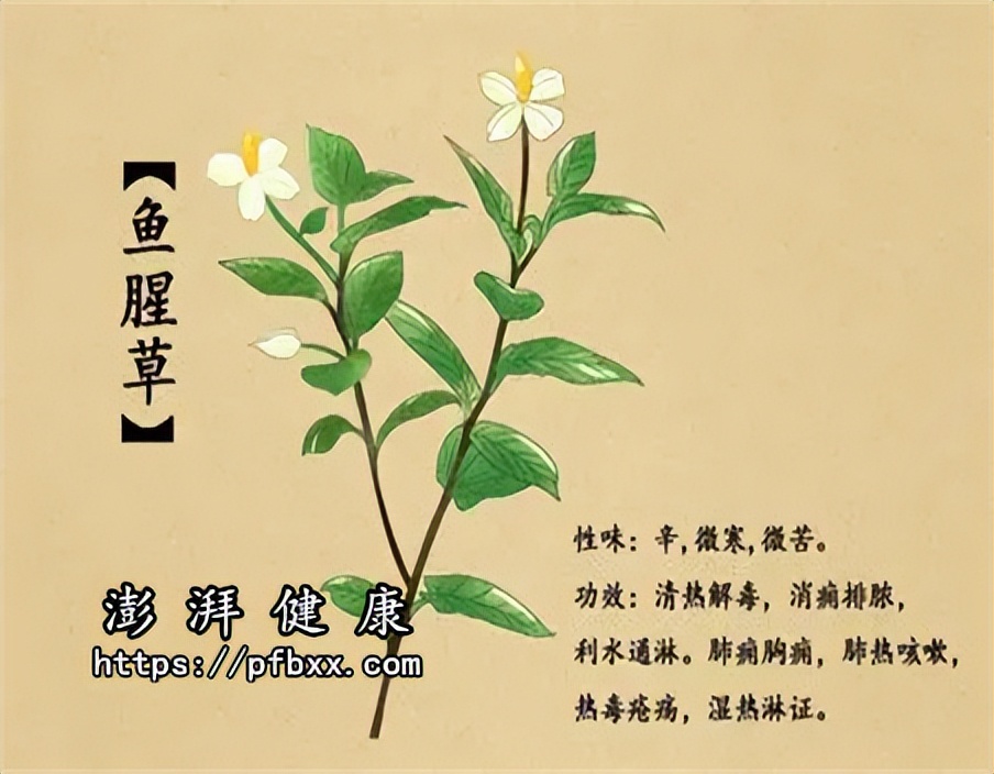 银屑病关节炎膝盖为什么容易疼,银屑病关节炎脚疼