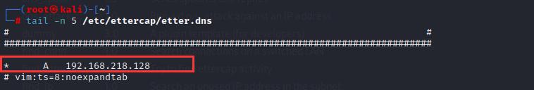 dns欺骗攻击的原理为,dns欺骗属于数据链路层攻击吗