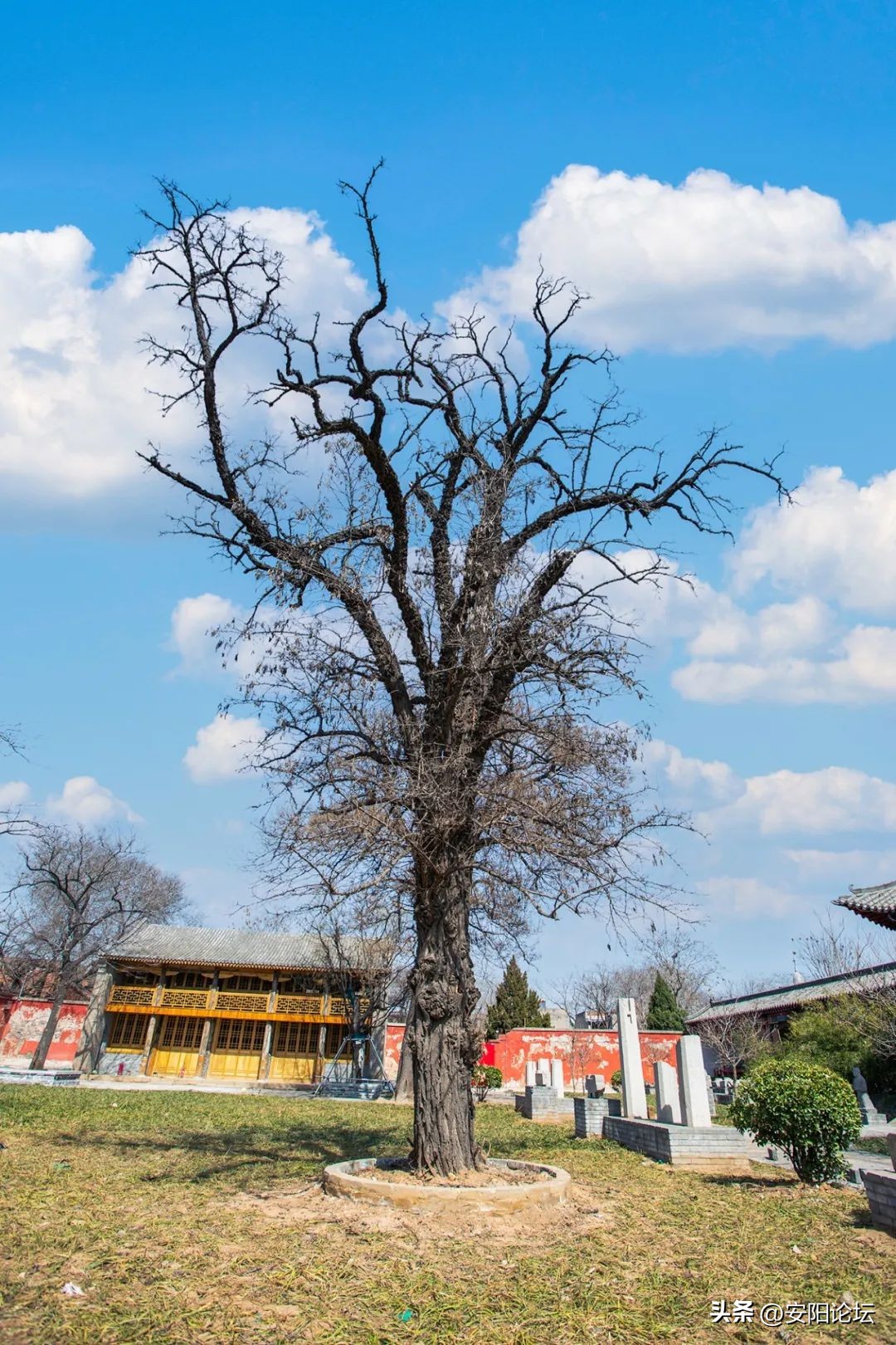 老城印象装饰,老城印象朗读