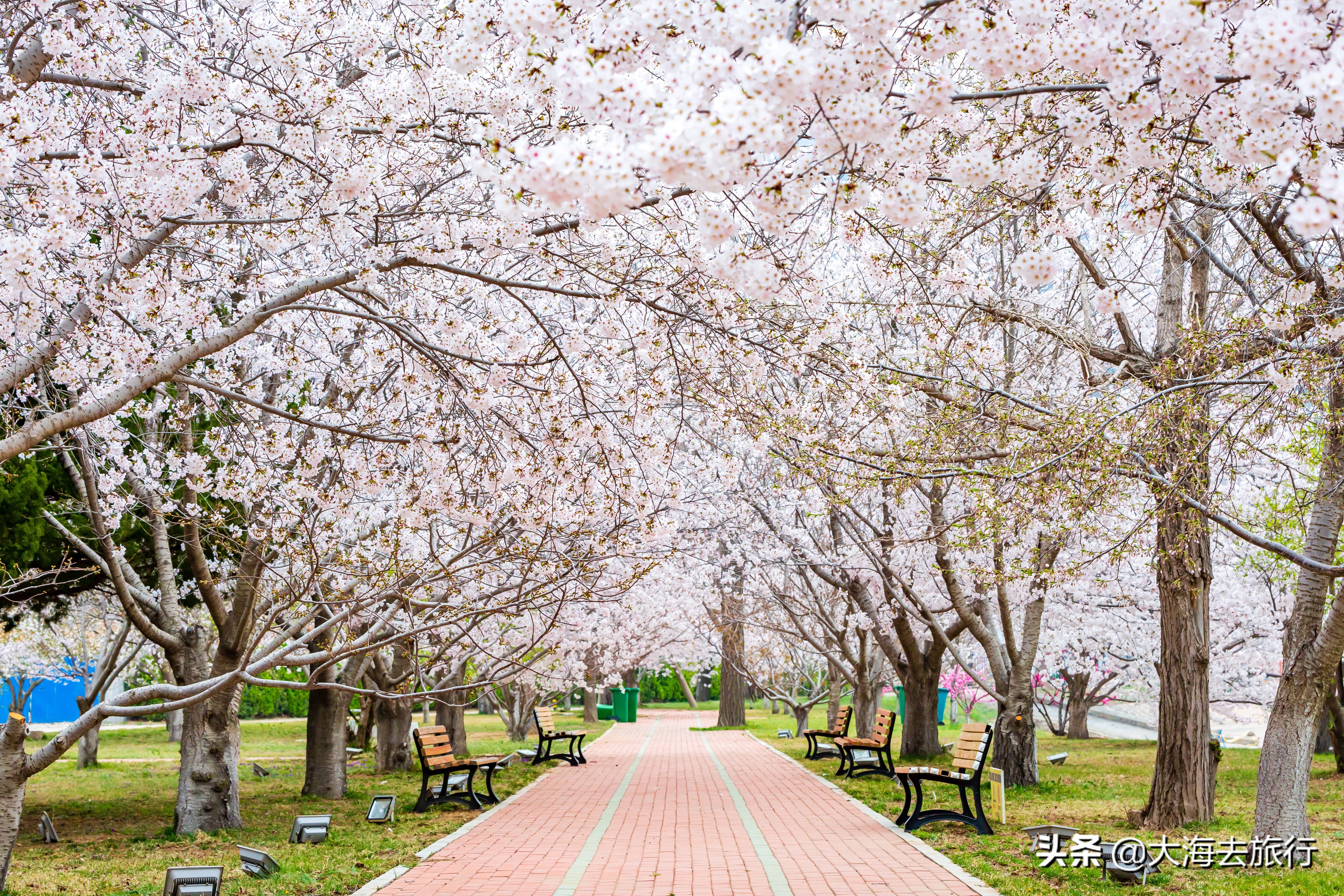大连亲子游旅游攻略,大连十一旅游攻略亲子游