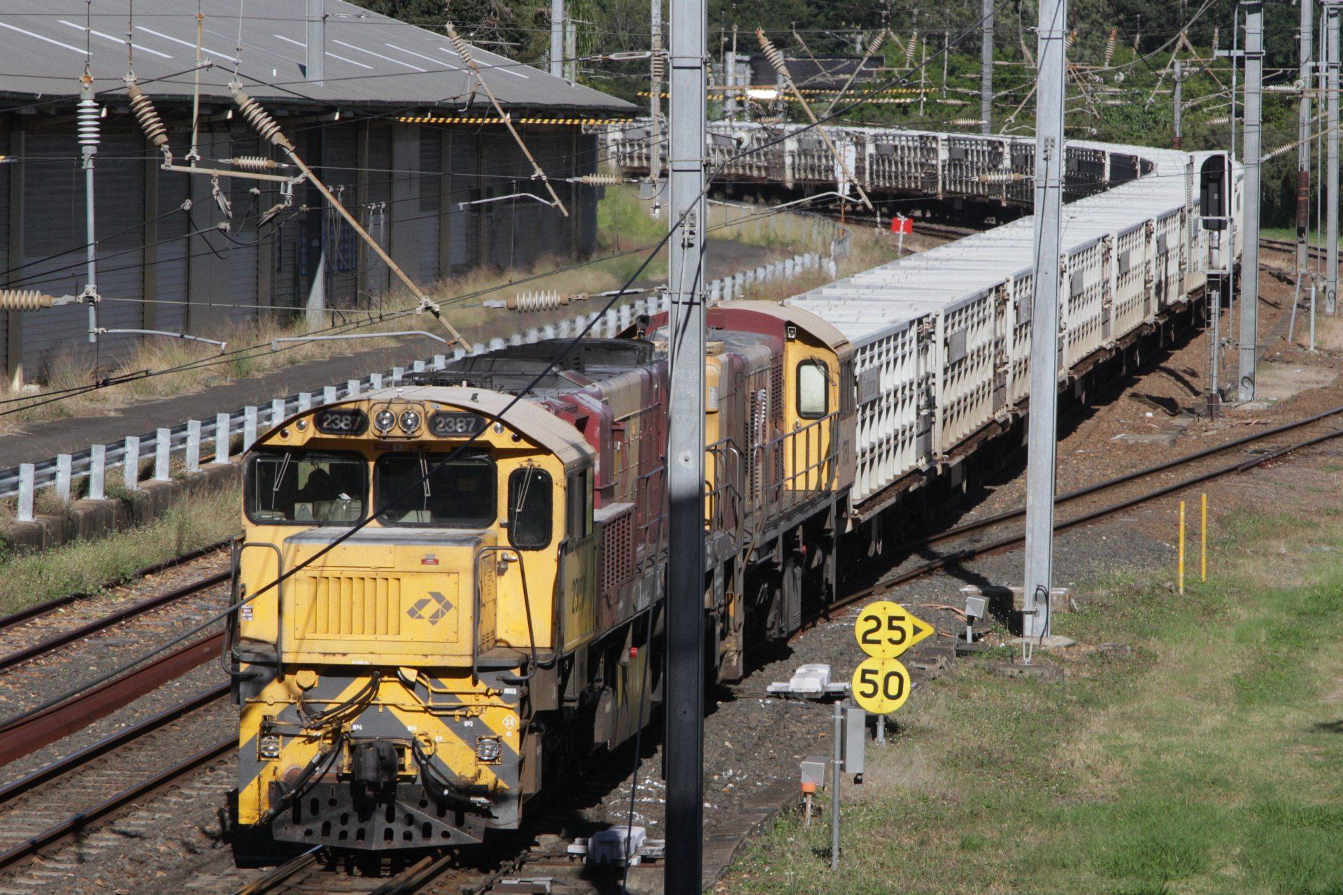 澳洲牛肉为什么好吃,澳洲牛肉1620