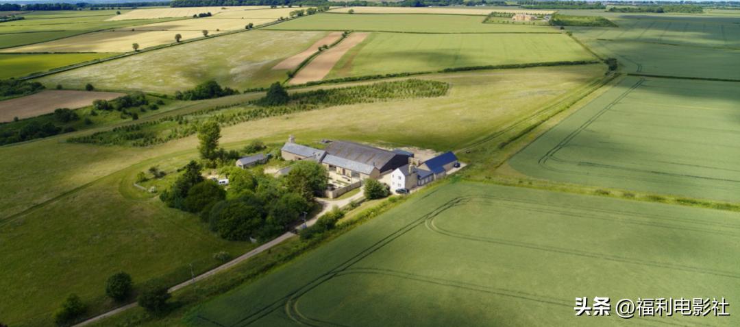 英国老汉开*博兰**基尼种地，一年才赚144英镑，把全世界观众整乐了