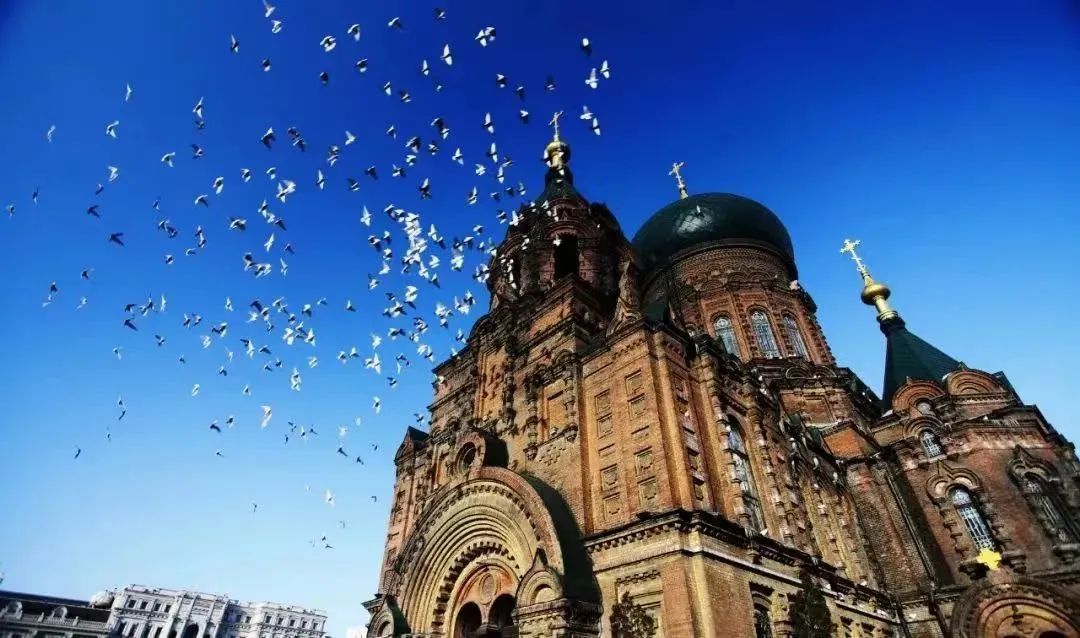 哈尔滨冰城冬季旅游攻略,冰城旅游攻略