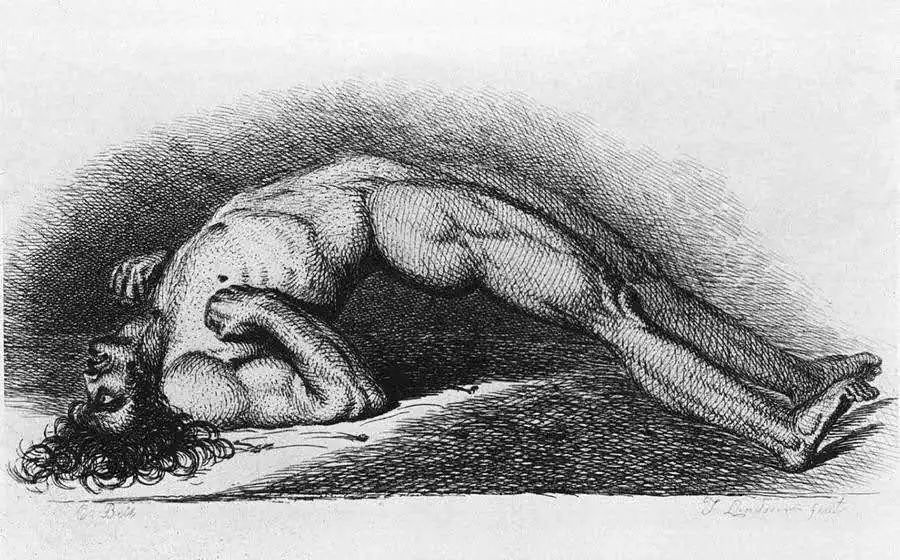 毒蘑菇中毒急救科普,毒蘑菇食物中毒首选洗胃液