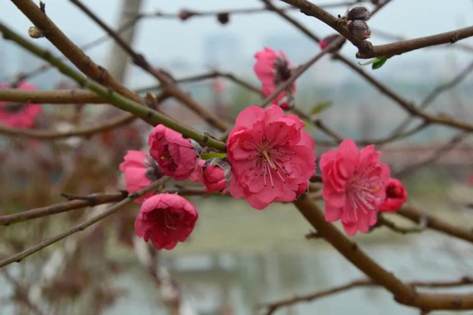 七年之痒短片,七年之痒短篇小说