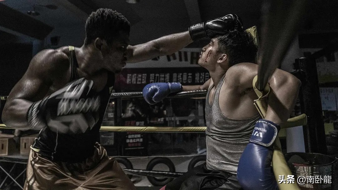 《拳力以赴》上映，砥砺前行涅槃重生，热血少年逐梦赛场夺拳王