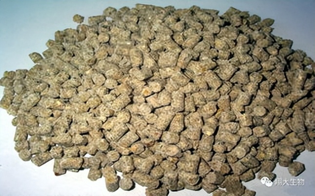 饲料中霉菌毒素对猪有什么危害,饲料毒素对猪的危害