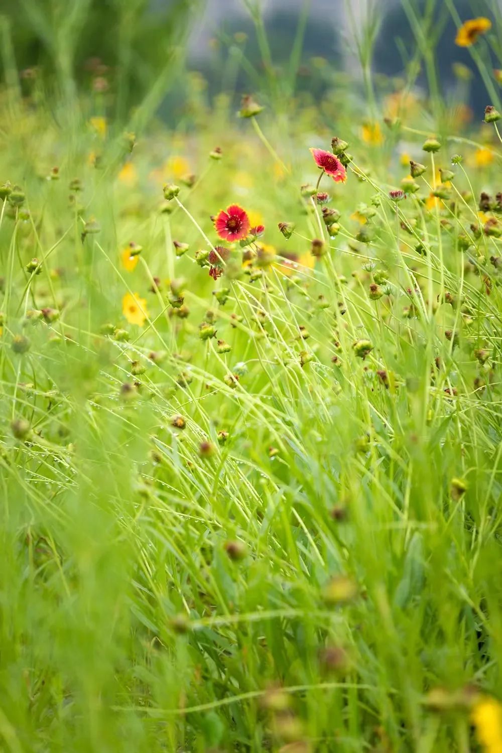马骁国际艺术作品,马永辉摄影作品欣赏