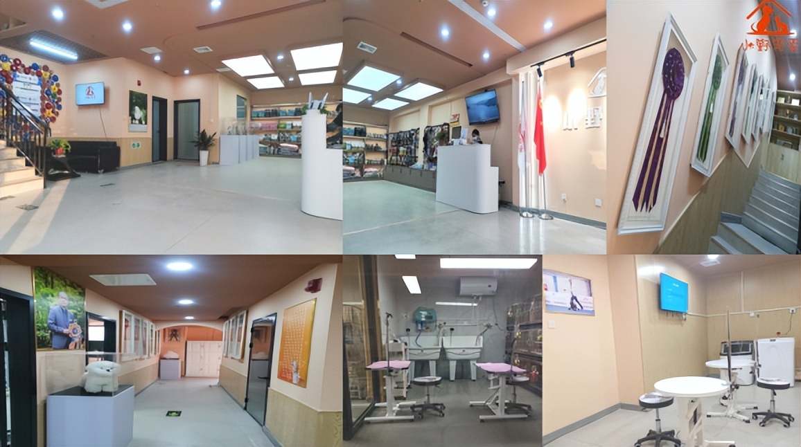 “小野宠爱”教你选择宠物投资赛道