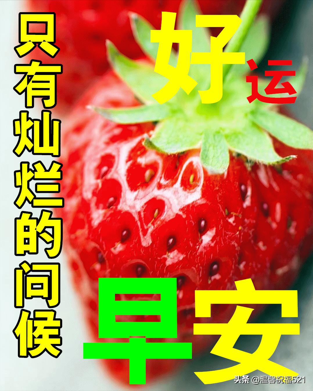 12月8日早上好,早安祝福语美好的一天从问候开始