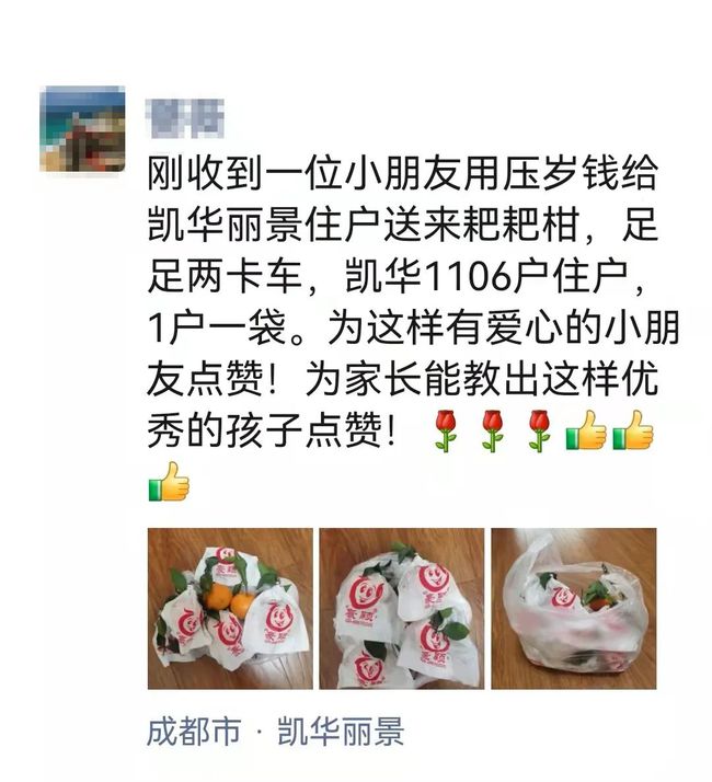 耙耙柑水果儿童,四川的耙耙柑小朋友