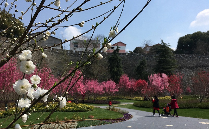 12月南京有哪些免费景点,南京市民免费旅游景点