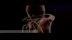 走近科学怀孕男子,重庆男子意外怀孕之谜