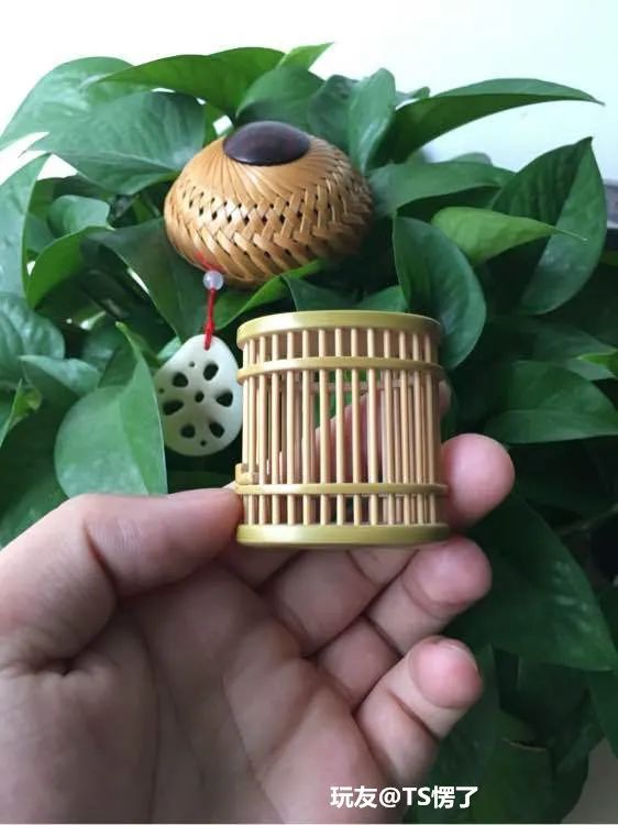 傻狍子角手把件,傻狍子的角掉了还能长出来吗