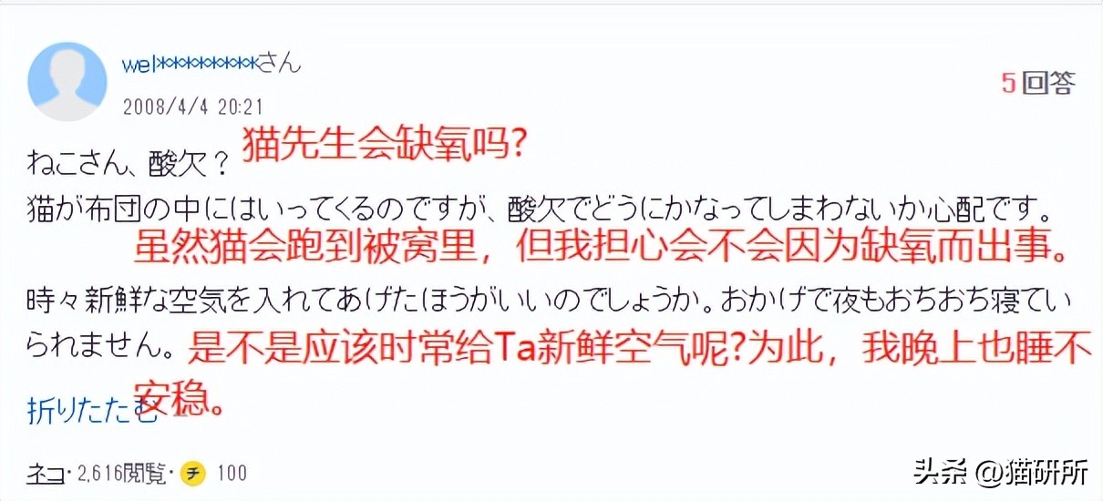 冬天猫咪一直睡觉无精打采,冬天猫咪睡觉会感觉冷吗