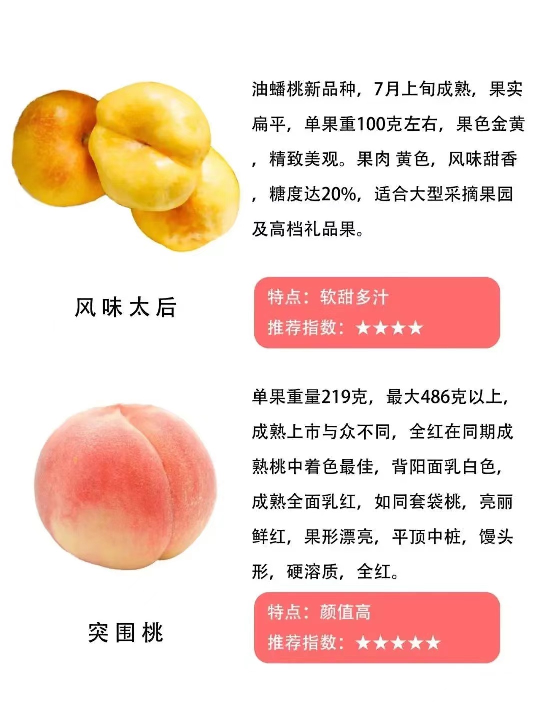 遵义桃子的品种和特点,常见的桃的品种区别有哪些