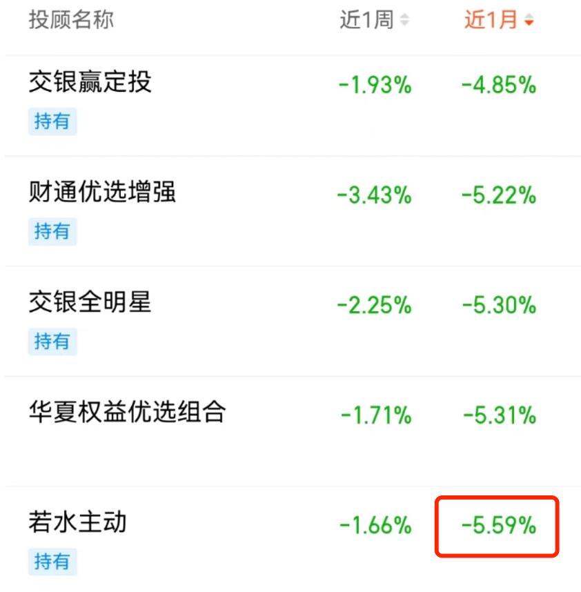 大白君投顾组合“若水主动”，值得买吗？