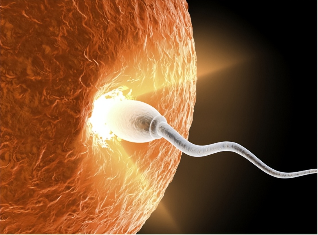 镉超标会引起哪种疾病,镉偏低的危害