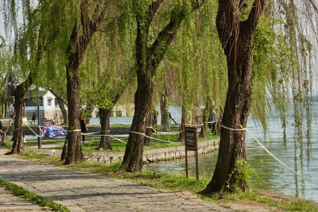 苏州房产中介套路,苏州中介劳务公司套路