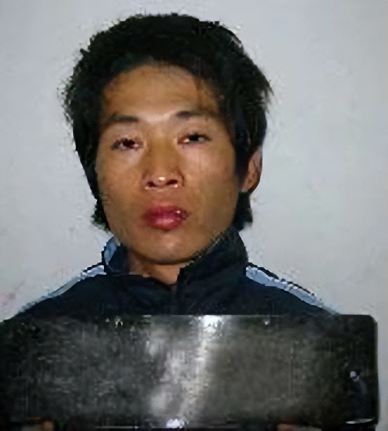 连环杀人案回顾,连环杀人案14年后破案