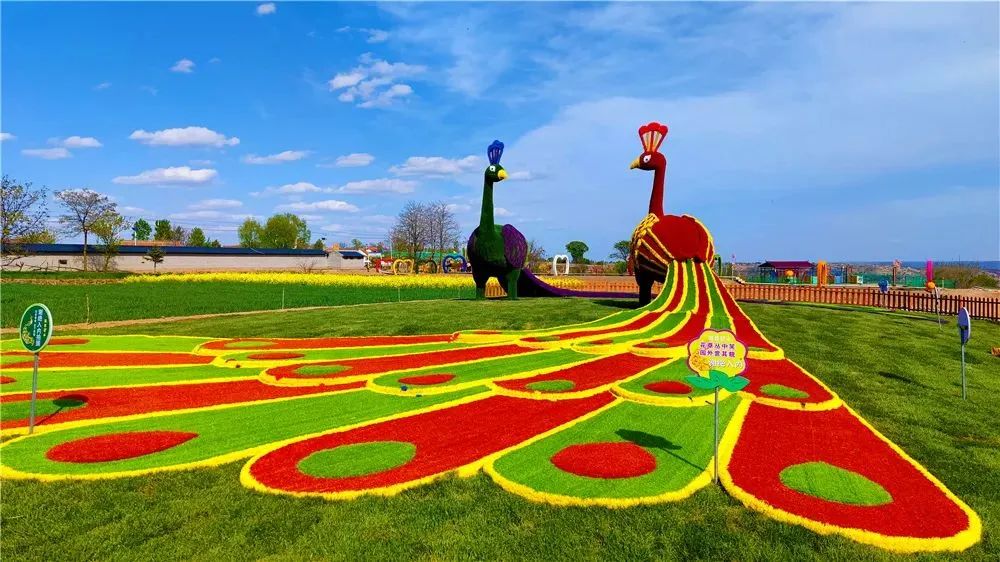 大美崇信，诚信之城欢迎您！