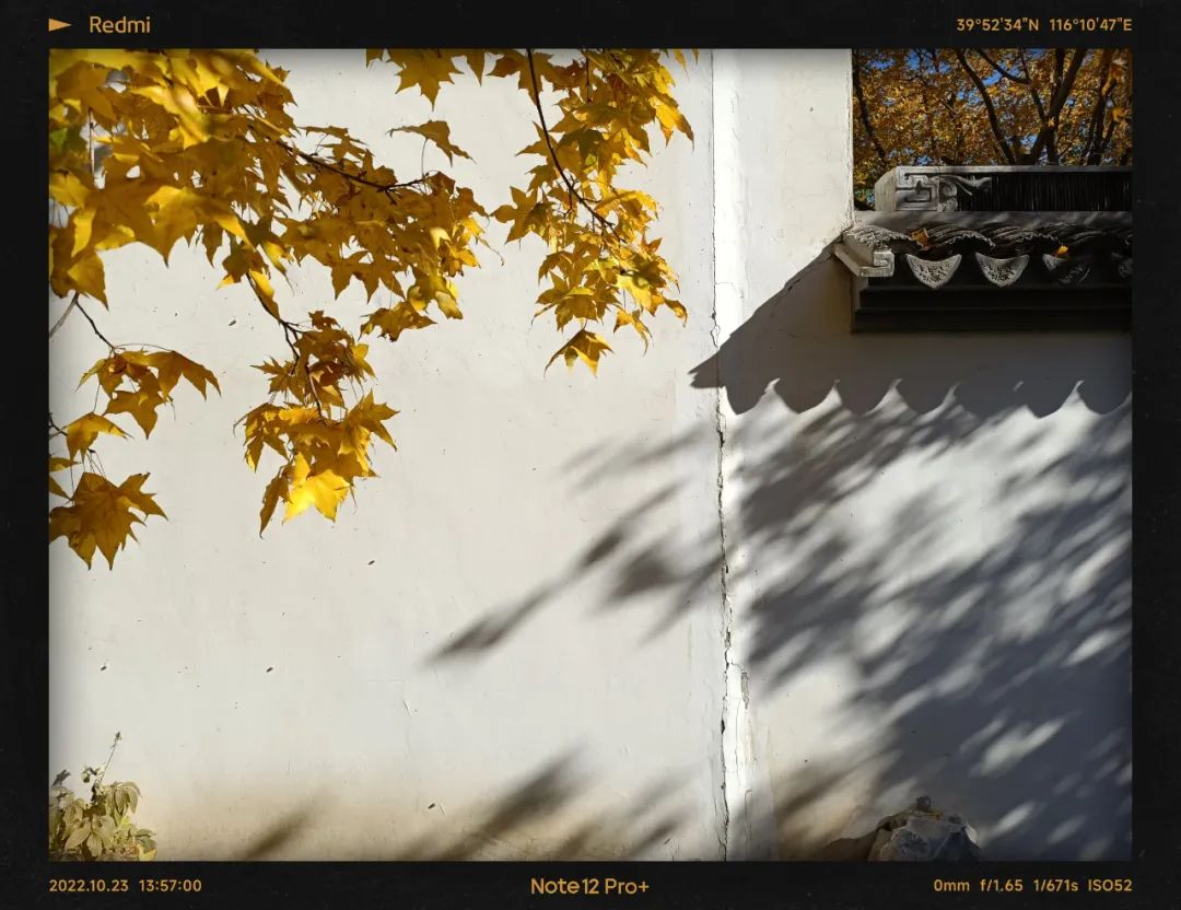 redminote11拍照效果,2亿级普通像素与5000万相机