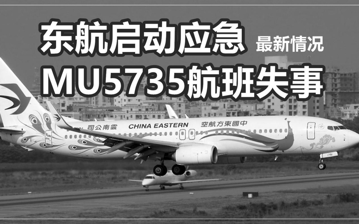 东航mu5735坠机事件最新,东航mu5735坠机事件还原