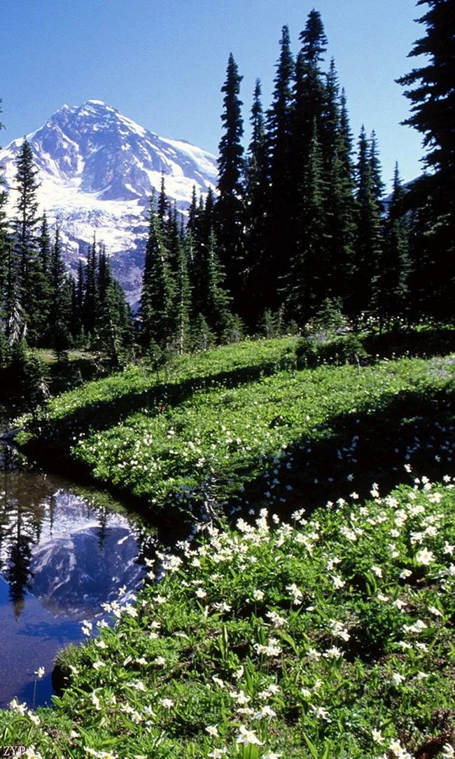 太美了100张人间美照,太美了最美中国红