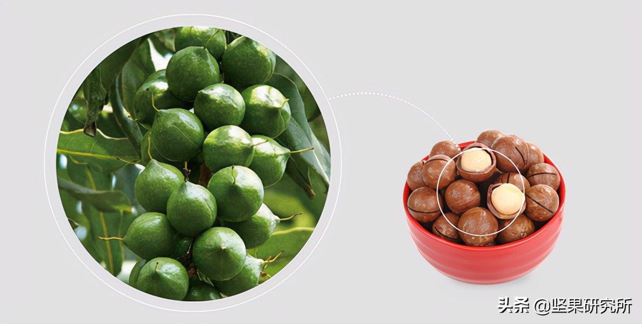 吃了发霉的夏威夷果怎么处理,夏威夷果表面白色是霉吗