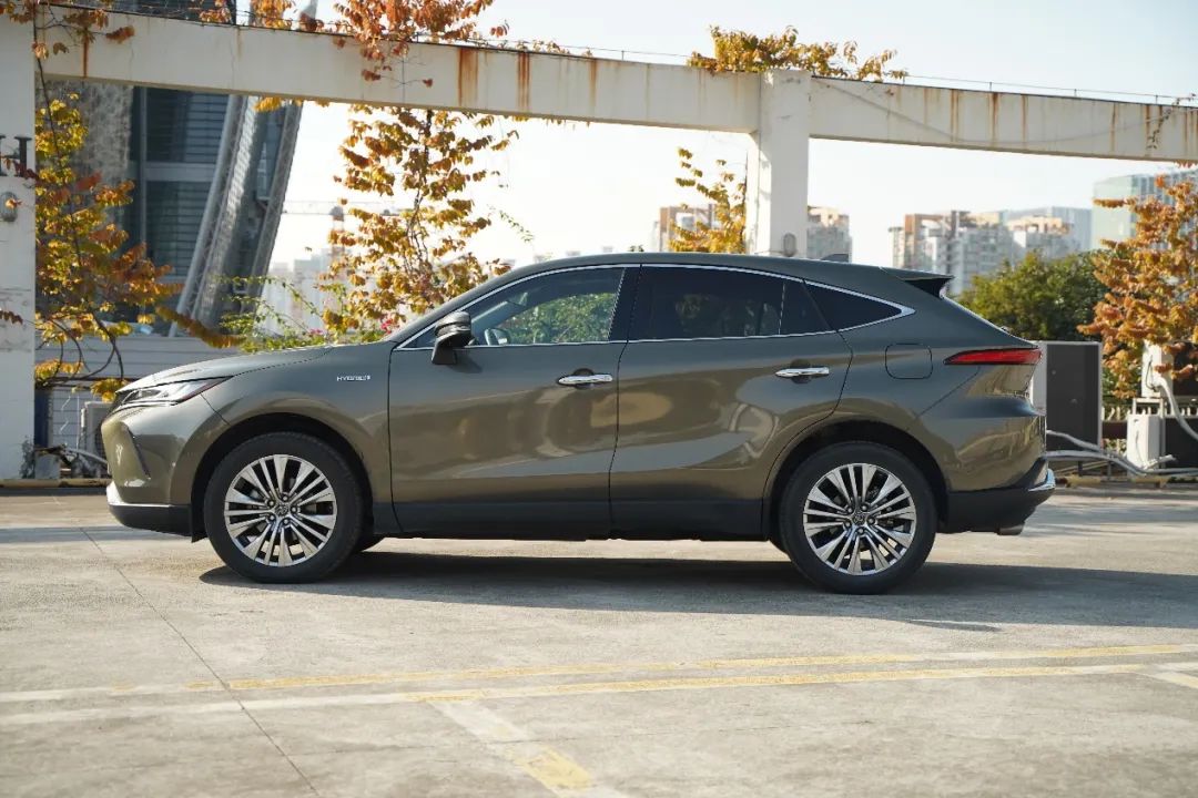 假如汽车圈也有世界杯，夺冠一定是TA，中场双子星太耀目！