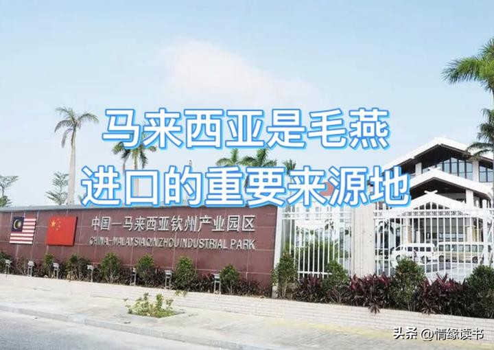 城市化与城市发展的区别与联系,城市化进程带来的城市问题